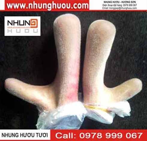 Xem chi tin Một số hình ảnh về "Lộc Trời"!!!